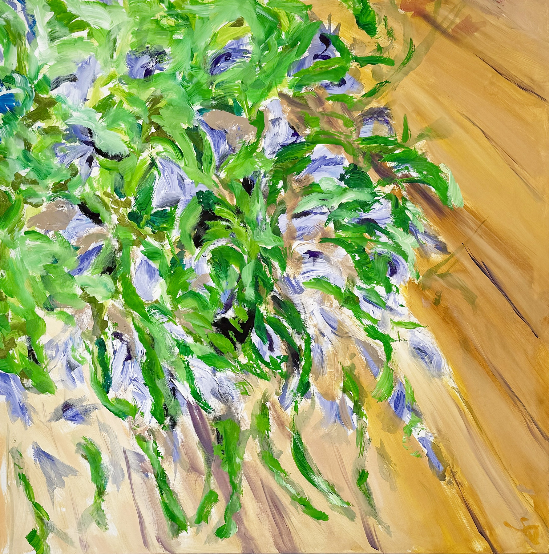 blå blomster, terasse
